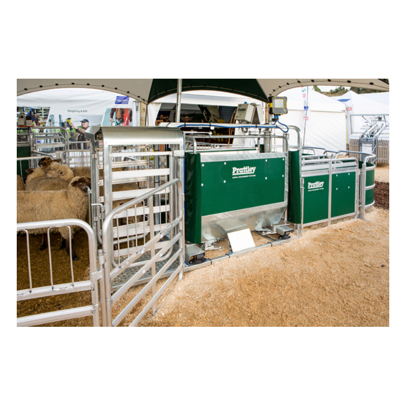 Prattley 3-Way Swing Gate AutoDraft