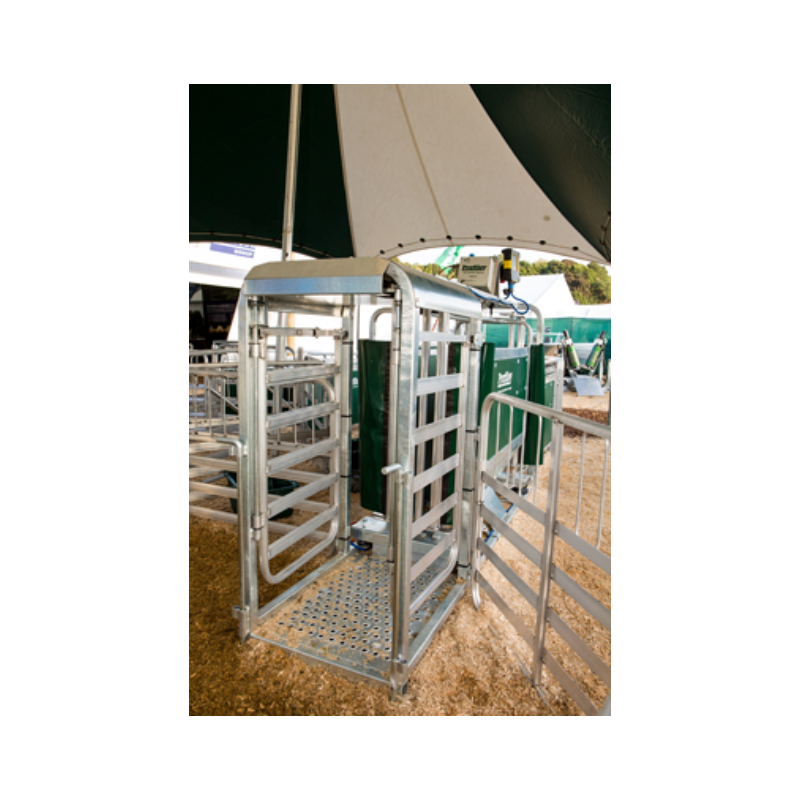 Prattley 3-Way Swing Gate AutoDraft