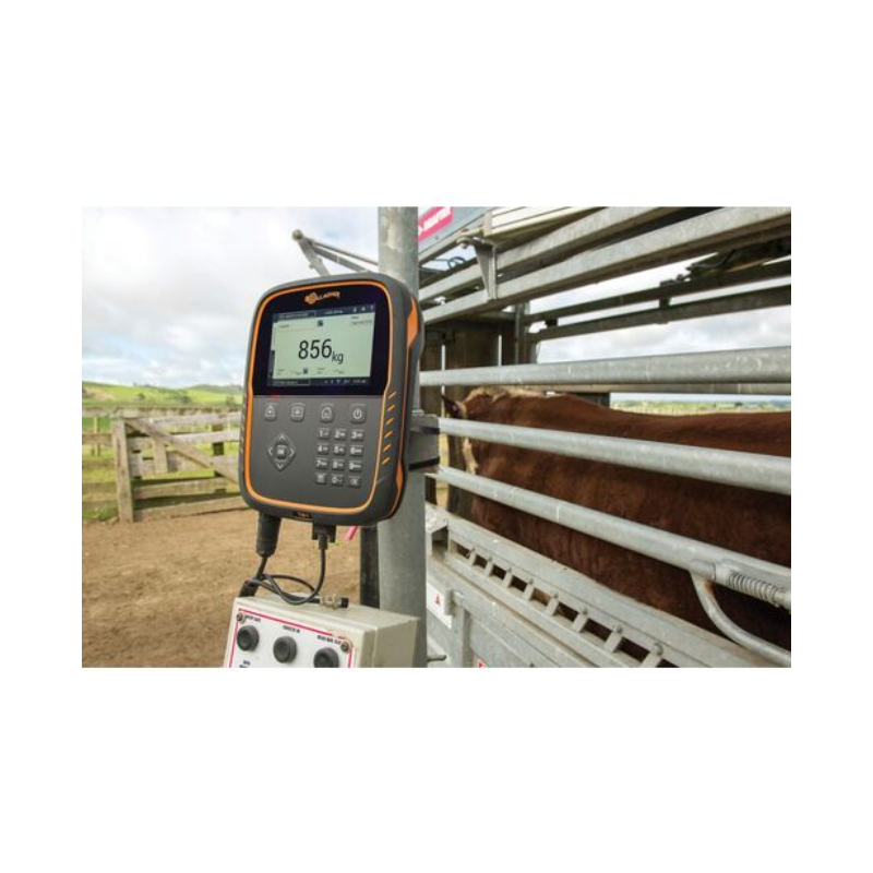 Gallagher TW-1 Livestock Weigh Scale
