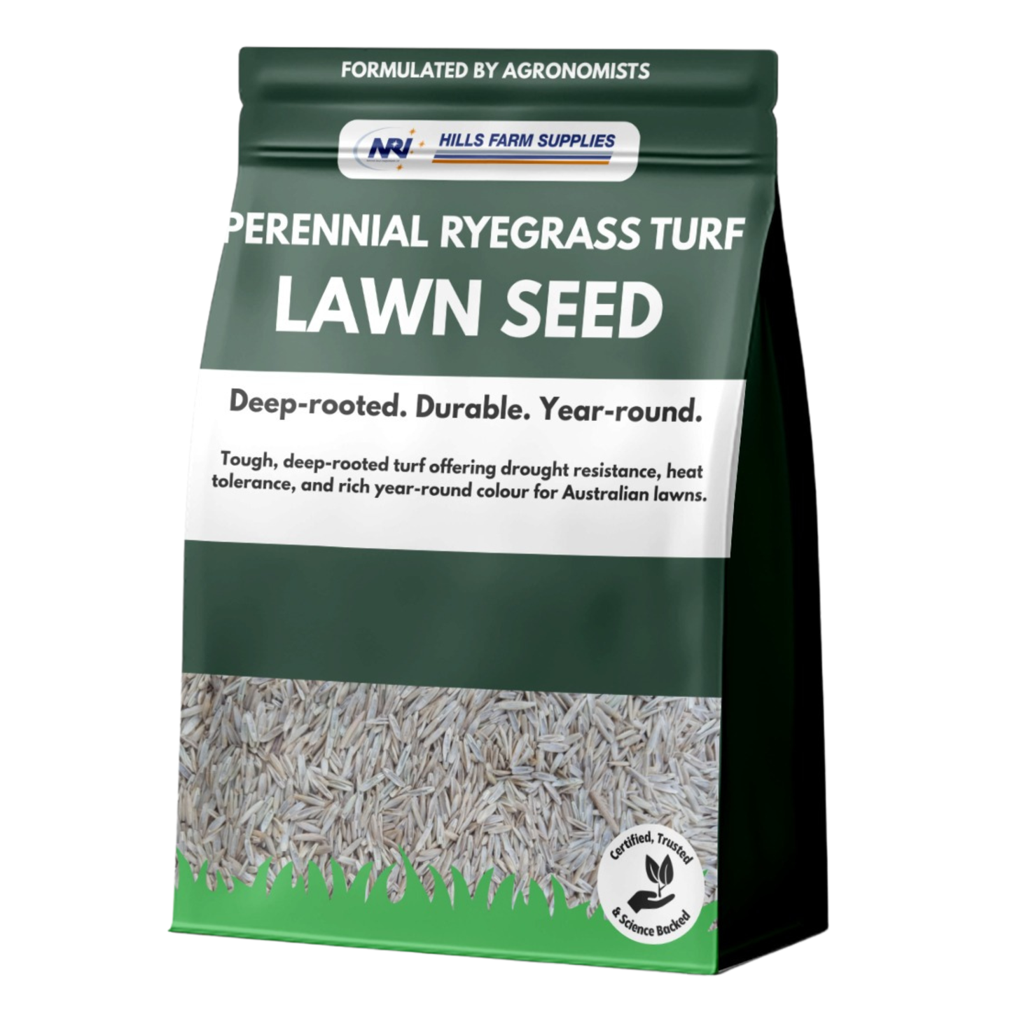 Perennial Ryegrass Turf Seed