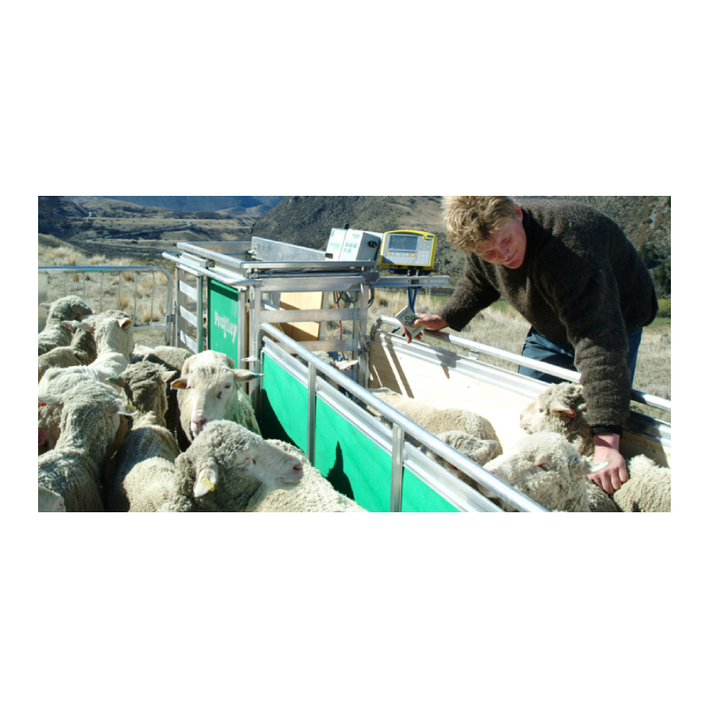 Prattley 3-Way Slide Gate AutoDraft