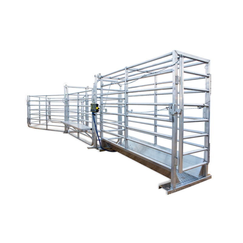 Prattley Cattle Weigh Crate