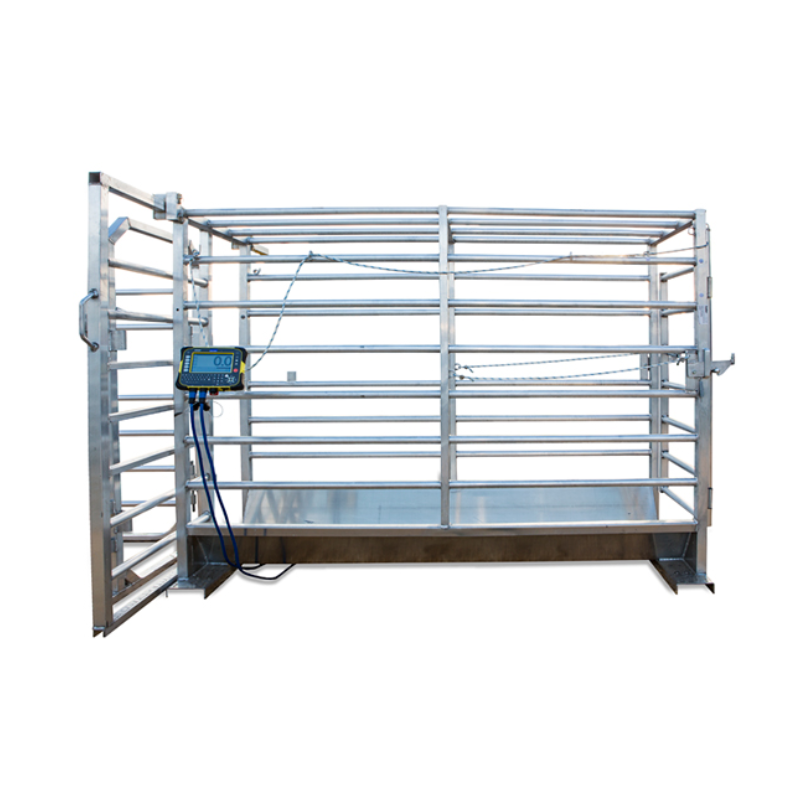 Prattley Cattle Weigh Crate