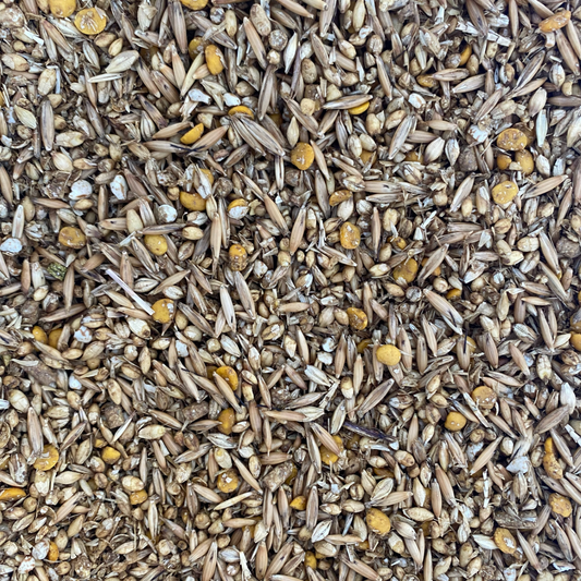 HFS Alpaca All Grain 12