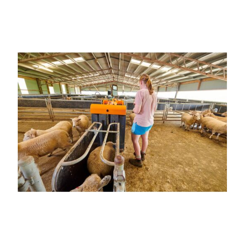 Gallagher Sheep Auto Drafter