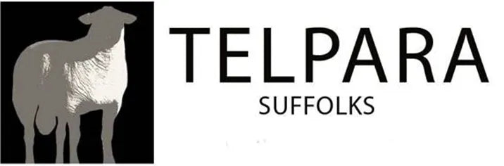 banner_top_image