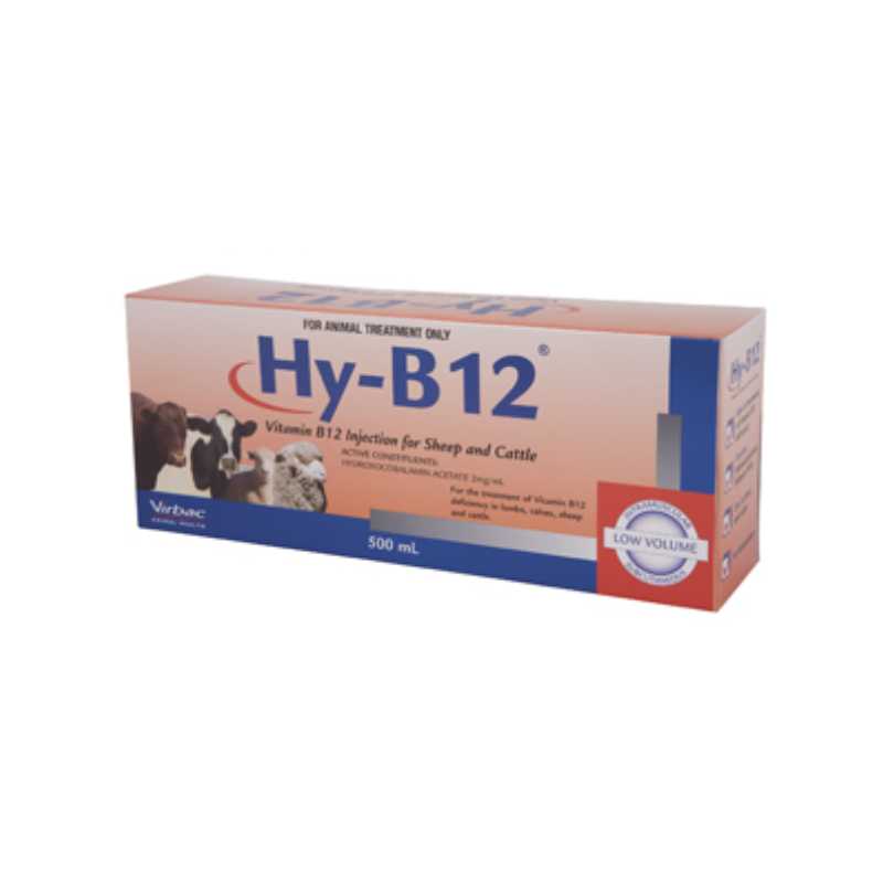 Buy HY-B12 Vitamin B12 Injection for Cattle & Sheep Hills Farm Supplies Buy HY-B12 Vitamin B12 Injection for Cattle & Sheep Hills Farm Supplies