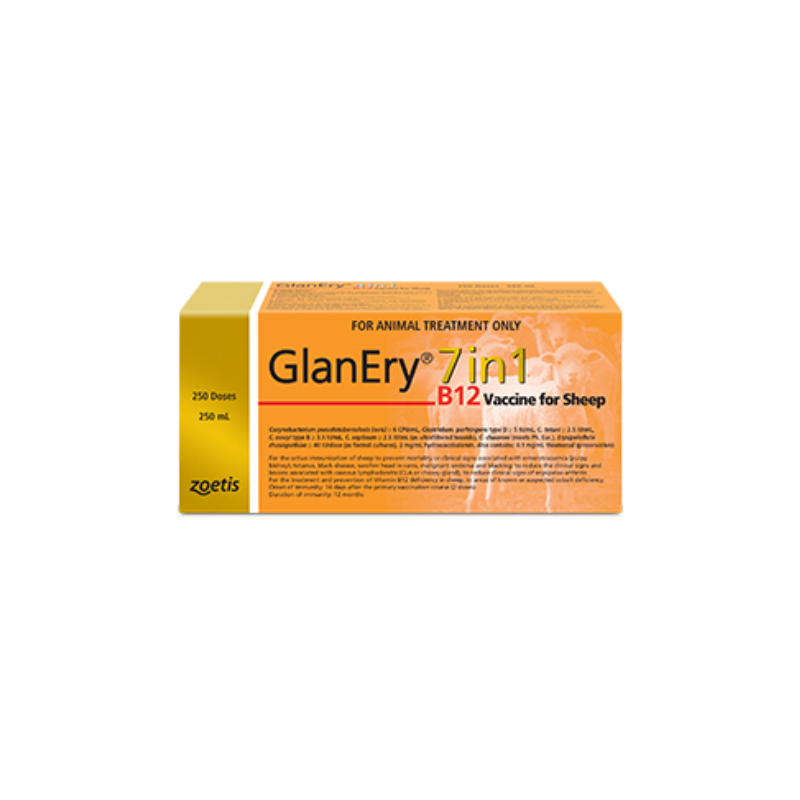 Buy Zoetis GlanEry 7in1 B12 Vaccine for Sheep Hills Farm Supplies Buy Zoetis GlanEry 7in1 B12 Vaccine for Sheep Hills Farm Supplies