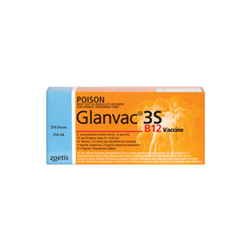 Zoetis Glanvac® 3SB12