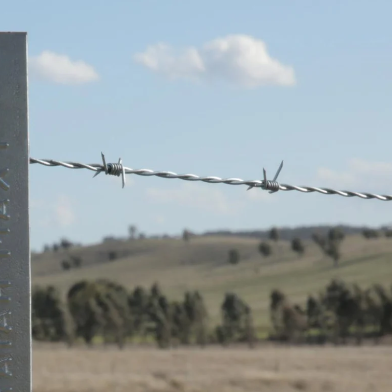 Waratah Barbed Wire Standard Galvanized
