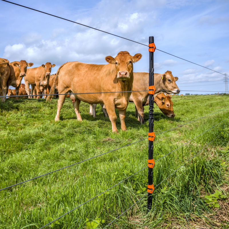 Gallagher MBS200 Multi Powered Fence Energizer