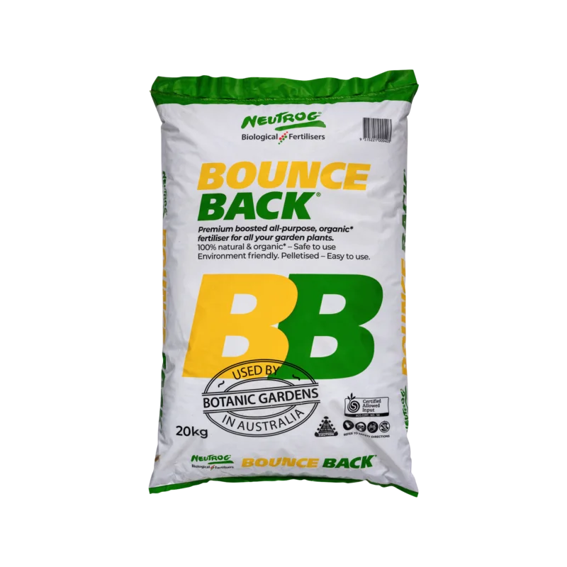 Neutrog Bounce Back