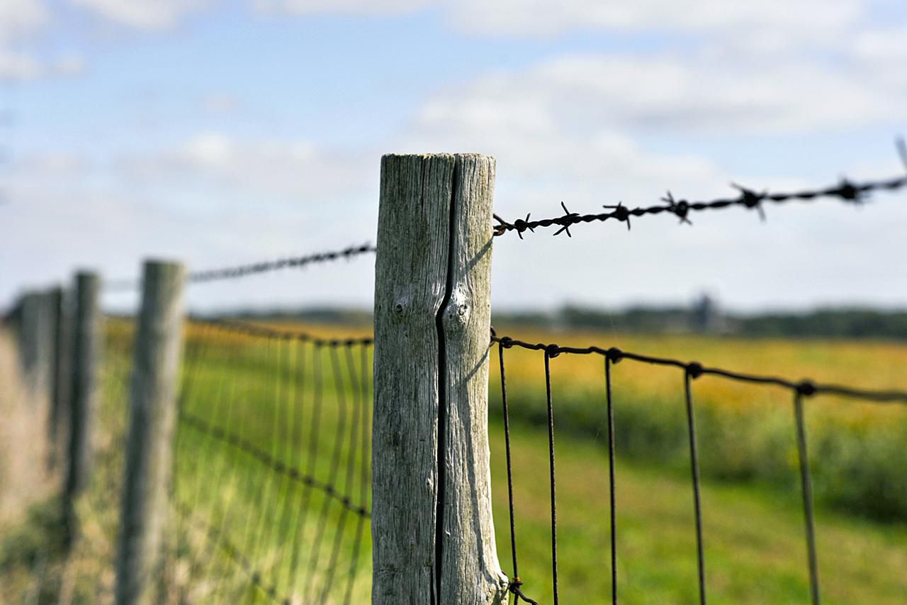 Farm Fencing