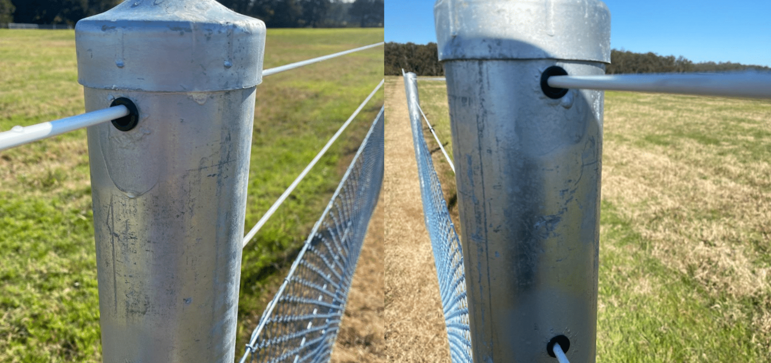 Fence Posts