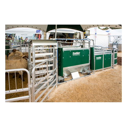 Prattley 3-Way Swing Gate AutoDraft