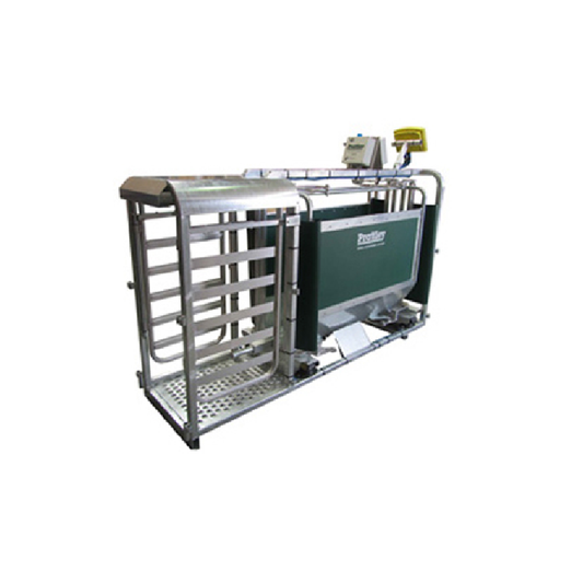 Prattley 3-Way Swing Gate AutoDraft