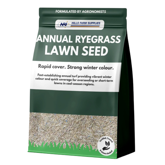 Annual Ryegrass Turf Seed