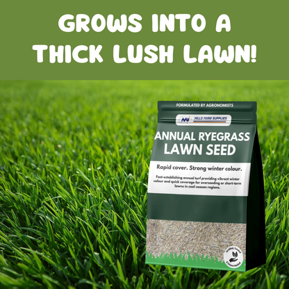 Annual Ryegrass Turf Seed
