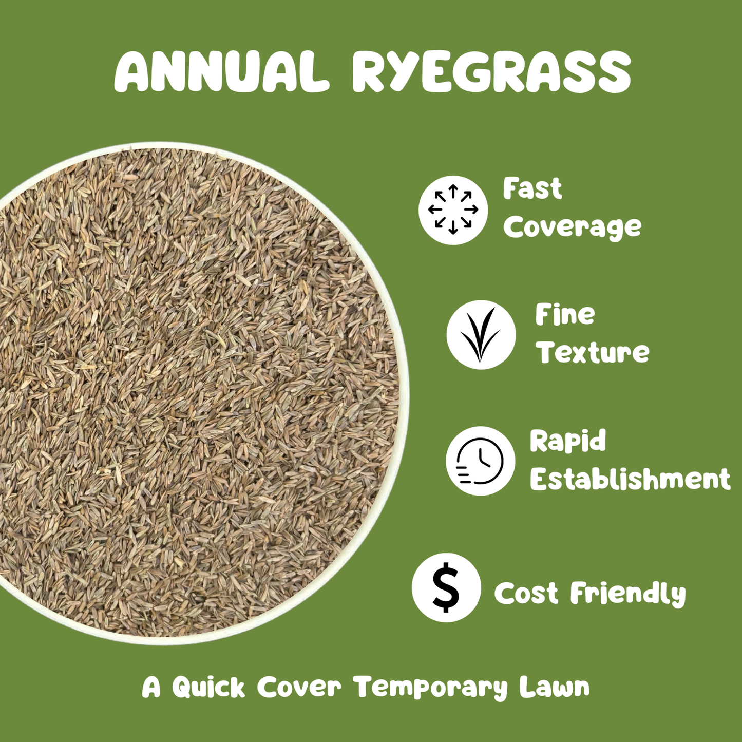 Annual Ryegrass Turf Seed