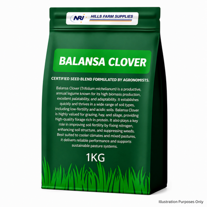 Balansa Clover Seed