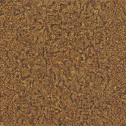 Balansa Clover Seed