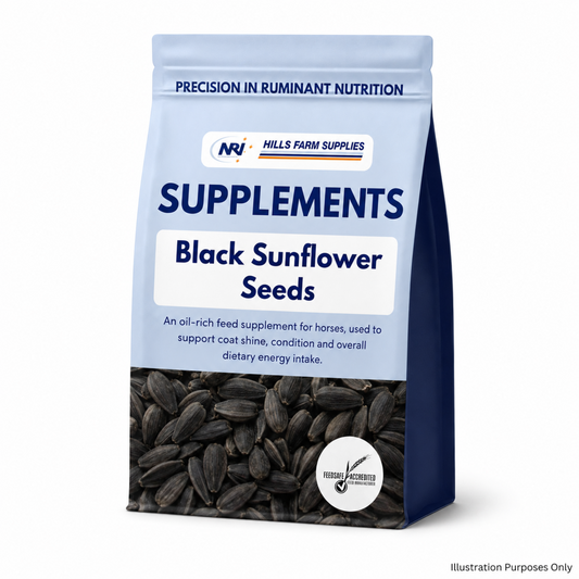 Black Sunflower Seeds for Livestock