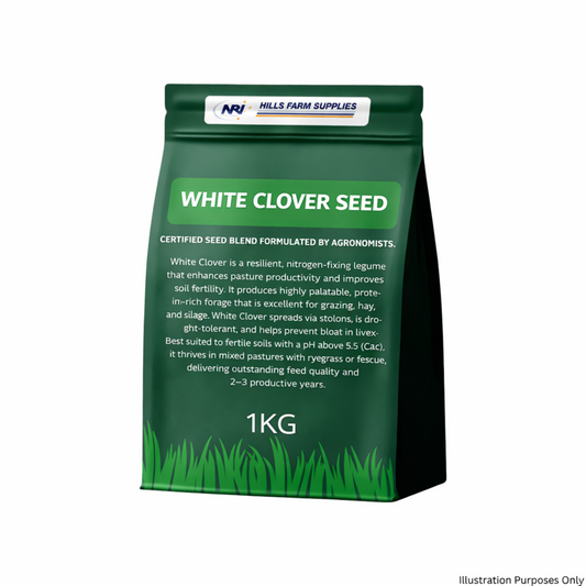 White Clover Seed