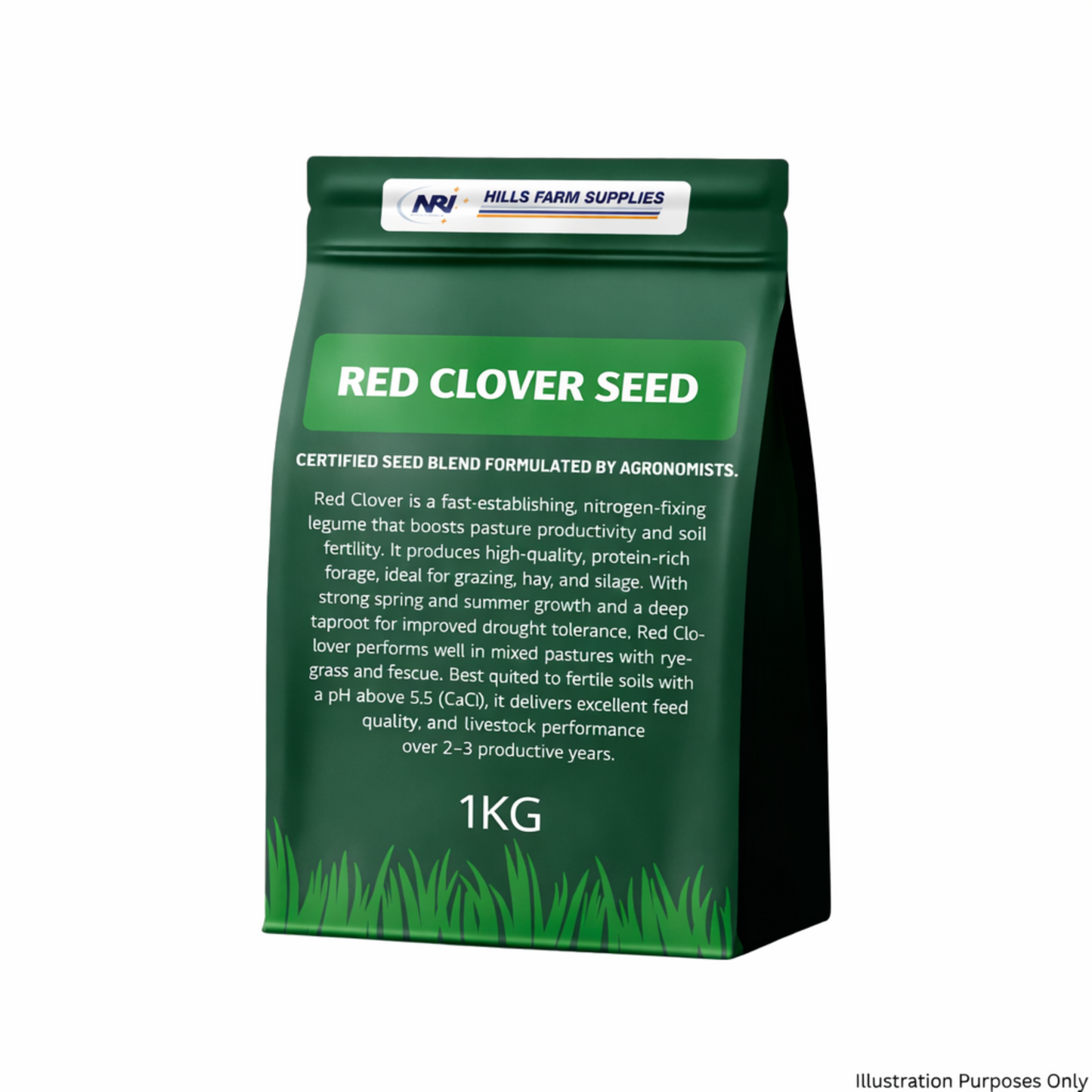 Red Clover Seed