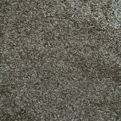 Cocksfoot Seed