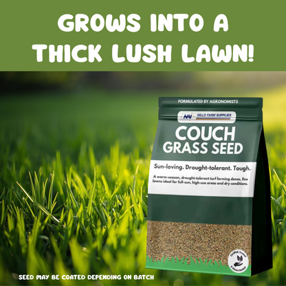 Couch Grass Lawn Seed
