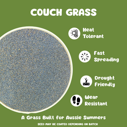 Couch Grass Lawn Seed