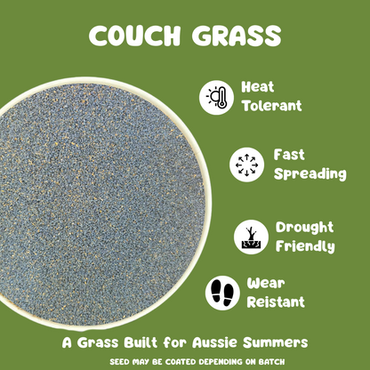 Couch Grass Lawn Seed
