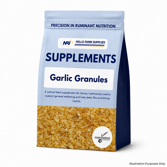 Garlic Granules