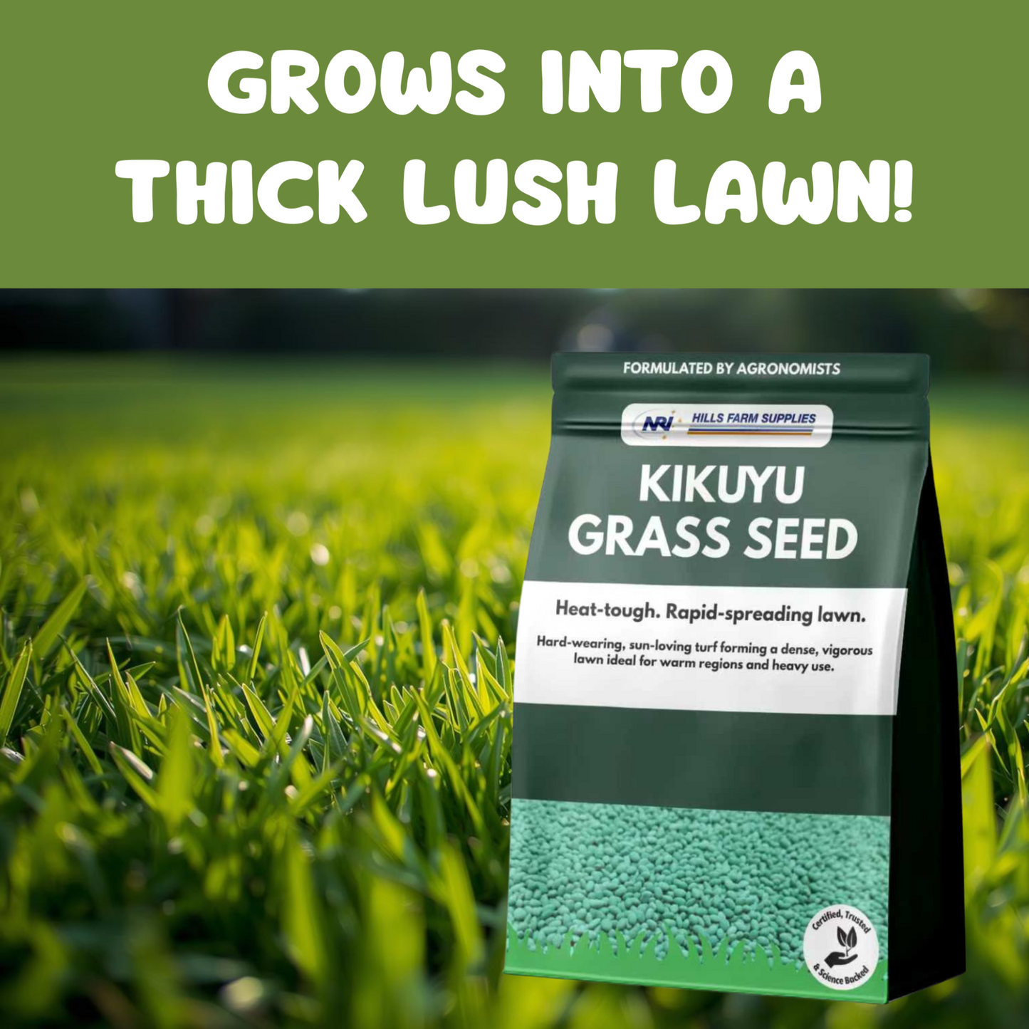 Kikuyu Grass Seed