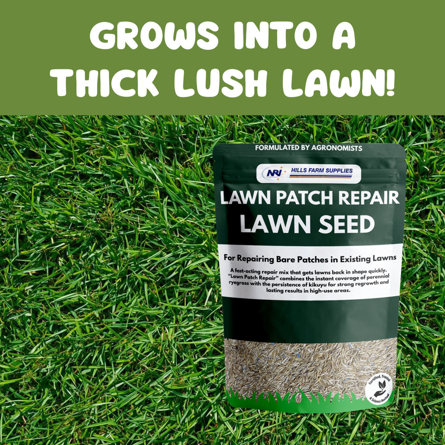 Lawn Patch Repair Lawn Seed