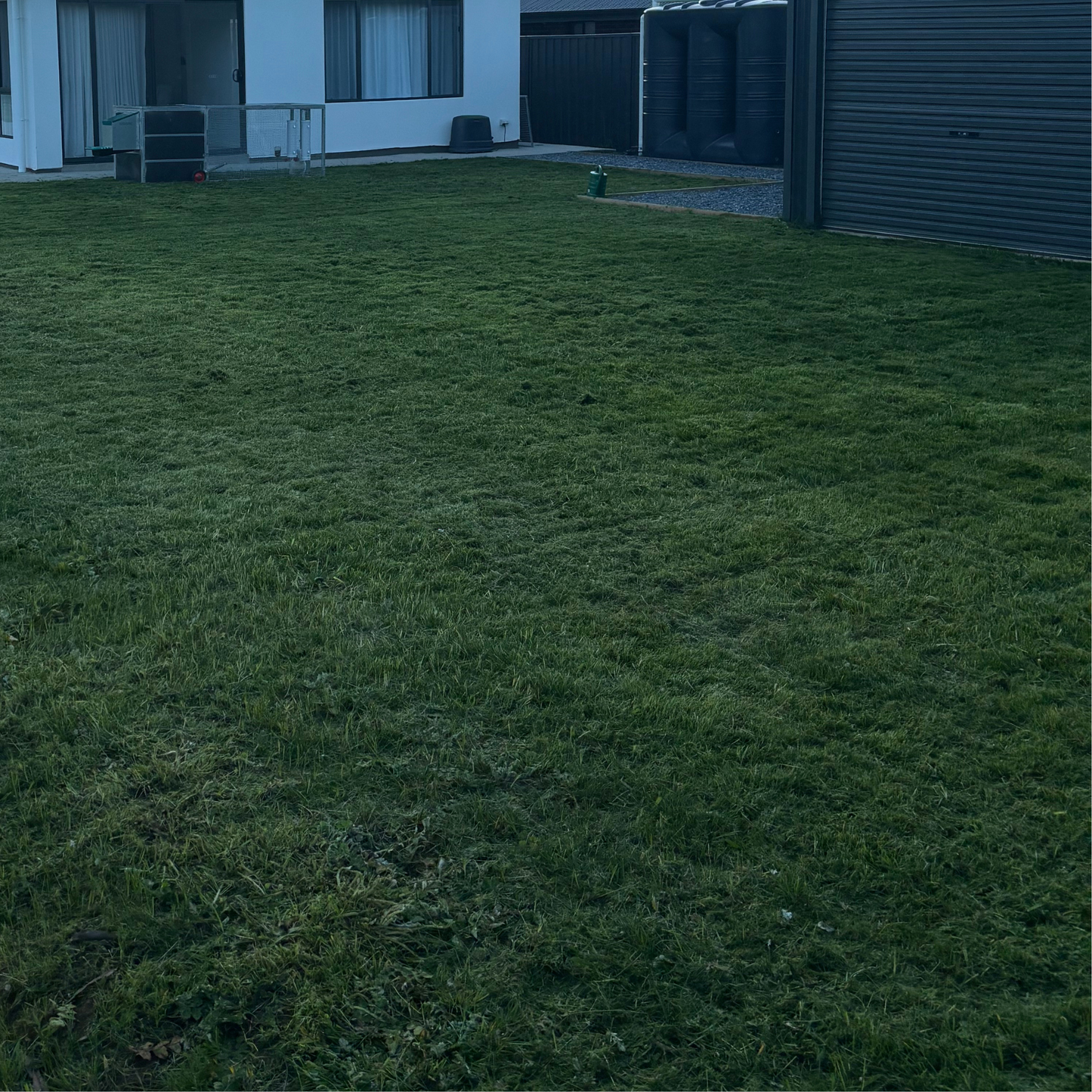 Lawn Patch Repair Lawn Seed