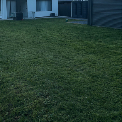 Lawn Patch Repair Lawn Seed