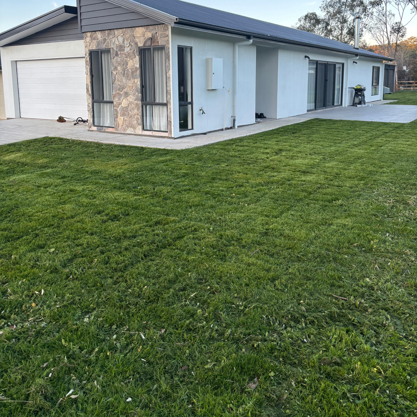 Lawn Patch Repair Lawn Seed