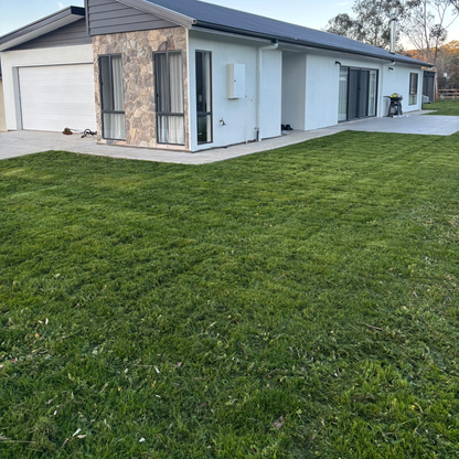 Lawn Patch Repair Lawn Seed