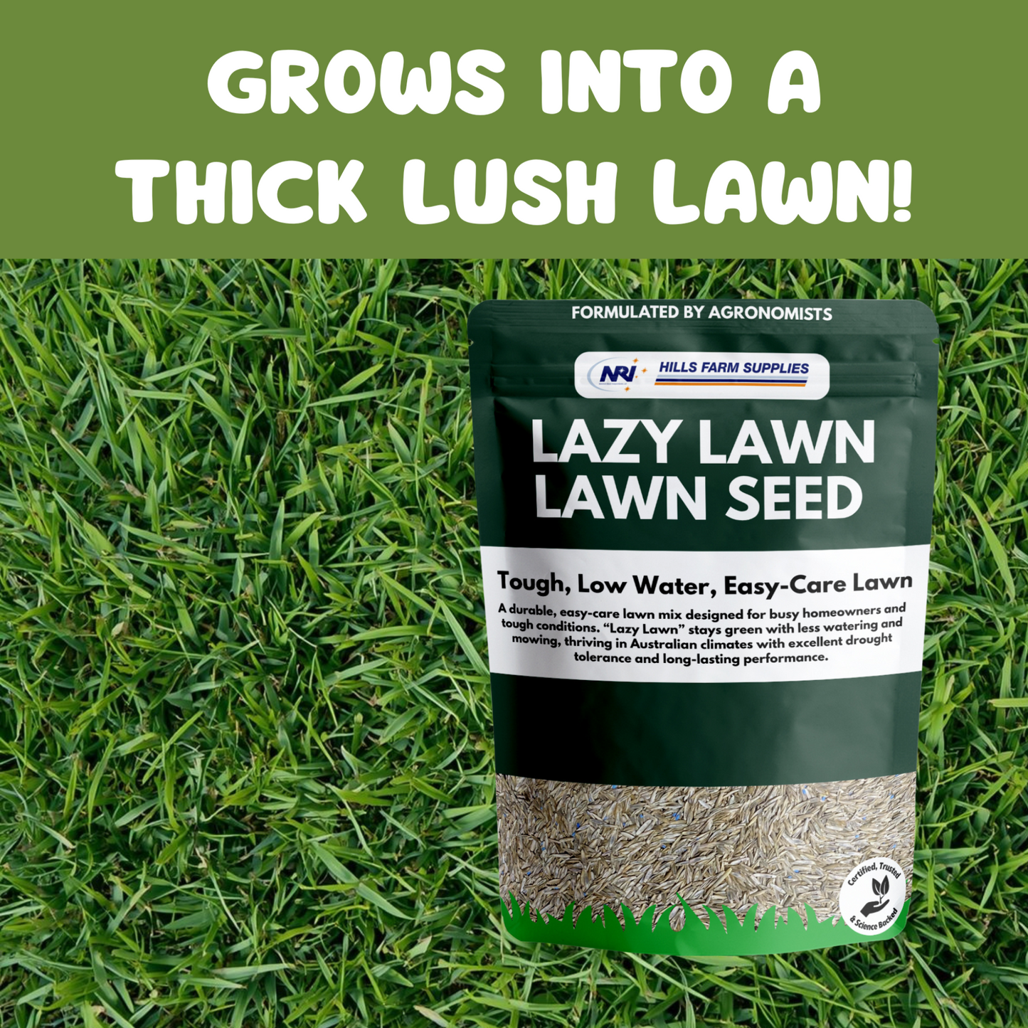 Lazy Lawn - Lawn Seed