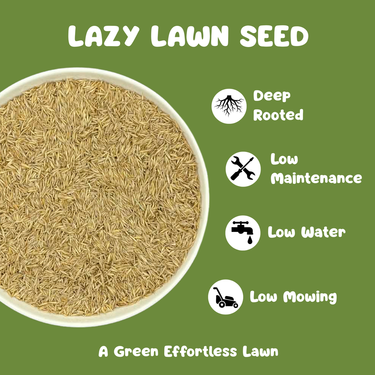 Lazy Lawn - Lawn Seed