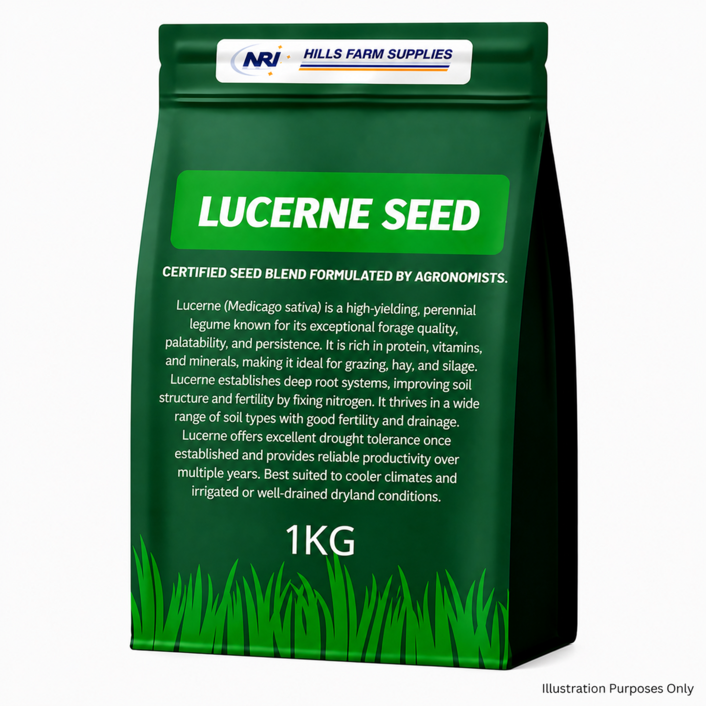 Lucerne Seed