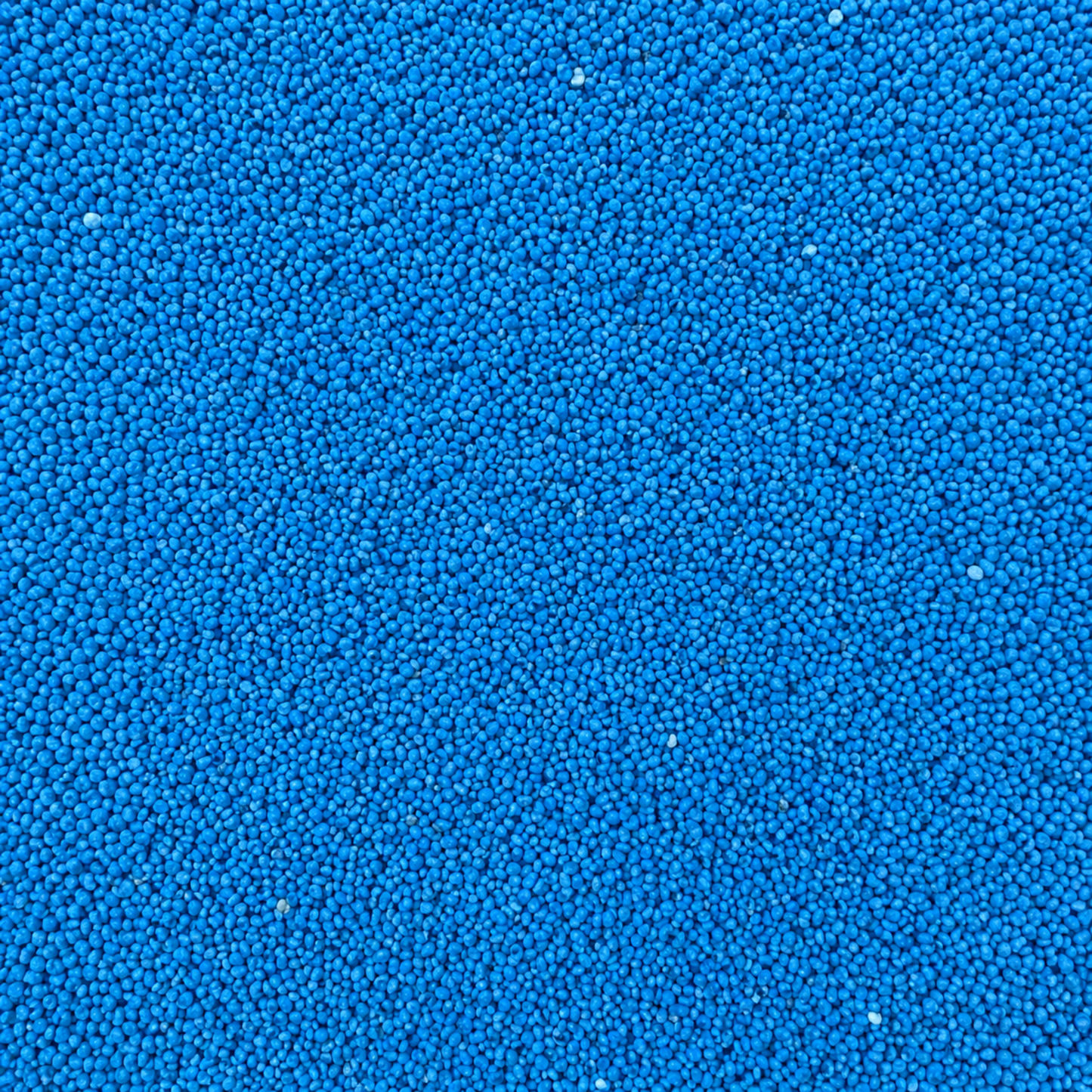 Lucerne Seed