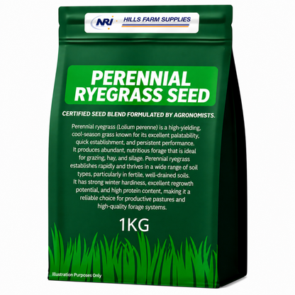 Perennial Pasture Ryegrass Seed