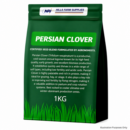 Persian Clover Seed