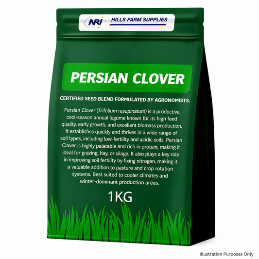 Persian Clover Seed