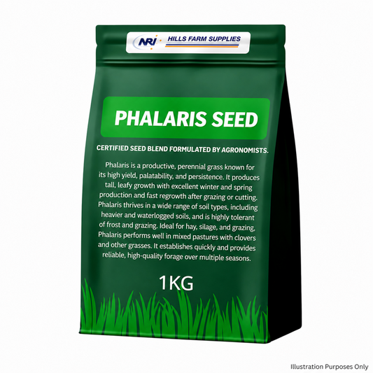 Phalaris Seed