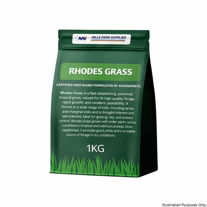Rhodes Grass Seed