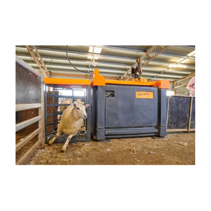 Gallagher Sheep Auto Drafter