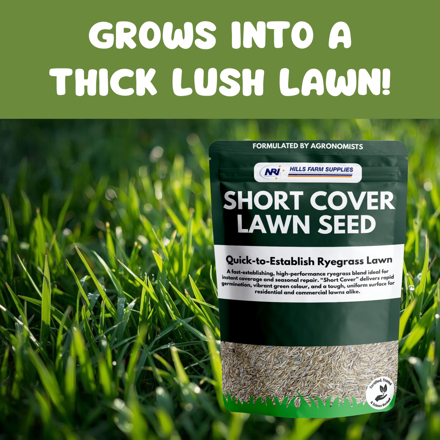 Short Cover Lawn Seed